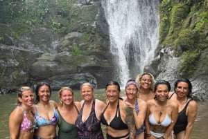 Parque Nacional Cahuita + Tour do Chocolate Bribri + Tour das Cataratas + Almoço