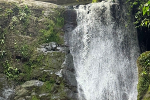 Parque Nacional Cahuita + Tour do Chocolate Bribri + Tour das Cataratas + Almoço