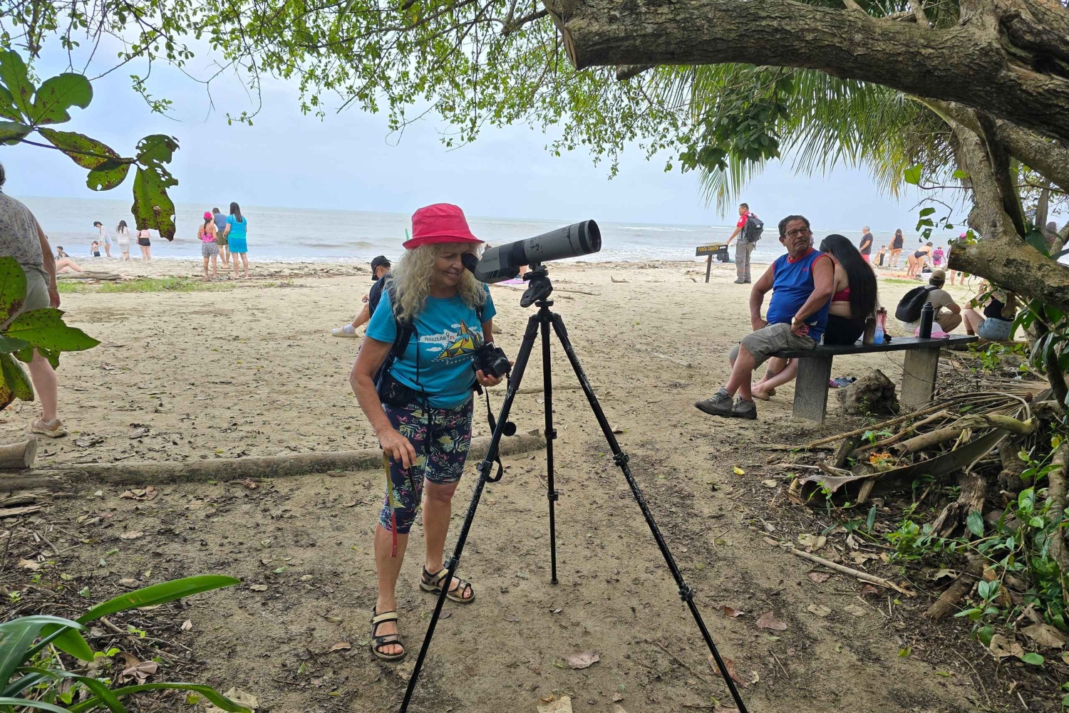 Cahuita nasjonalpark: episk guidet fottur i små grupper (maks. 10)