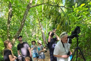 Cahuita nasjonalpark: episk guidet fottur i små grupper (maks. 10)