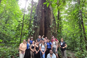 Cahuita nasjonalpark: episk guidet fottur i små grupper (maks. 10)