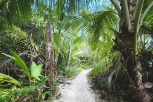 Epic Cahuita Combo Tour: Snorkelrev og vandretur med vilde dyr