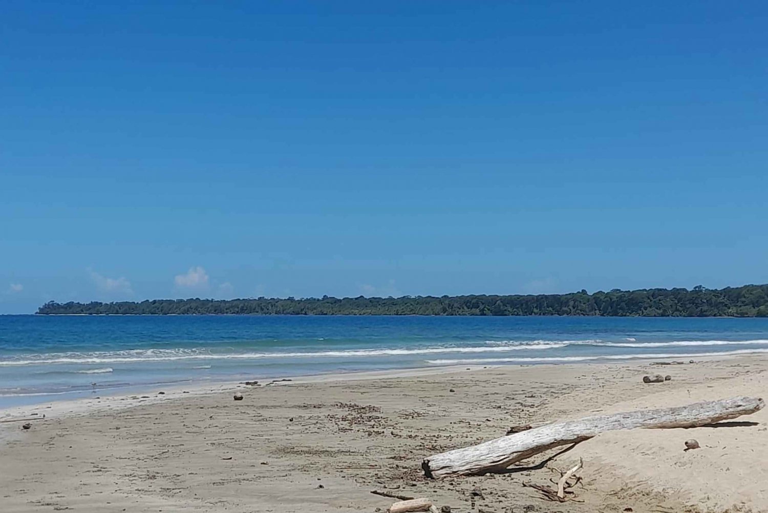 Cahuita nationalpark: guidet tur med Pablo