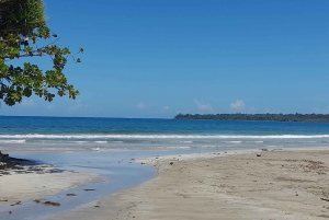 Cahuita nationalpark: guidet tur med Pablo