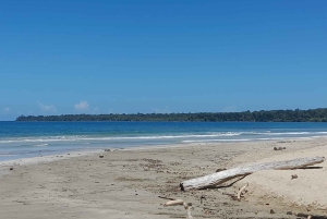 Parc national de Cahuita : visite guidée avec Pablo