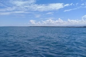 Park Narodowy Cahuita: Snorkel