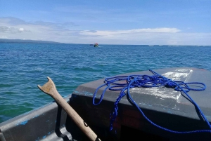 Cahuita National Park: Snorkel