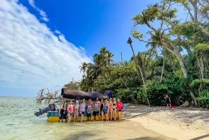 CAHUITA: NATIONAL PARK SNORKELING AND HIKING *CERTIFIED LOCAL TOUR GUIDE*.