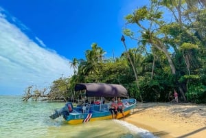 CAHUITA: NATIONAL PARK SNORKELING AND HIKING *CERTIFIED LOCAL TOUR GUIDE*.