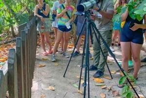 CAHUITA: NATIONAL PARK SNORKELING AND HIKING *CERTIFIED LOCAL TOUR GUIDE*.