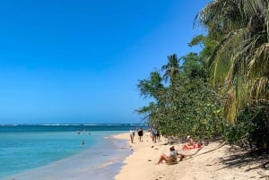 CAHUITA: NATIONAL PARK SNORKELING AND HIKING *CERTIFIED LOCAL TOUR GUIDE*.