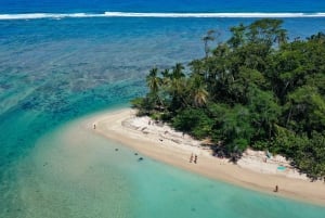 CAHUITA: NATIONAL PARK SNORKELING AND HIKING *CERTIFIED LOCAL TOUR GUIDE*.