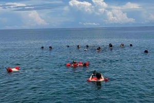 CAHUITA: NATIONAAL PARK SNORKELEN EN WANDELEN *GECERTIFICEERDE LOKALE GIDS*.