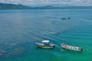 CAHUITA: NATIONAAL PARK SNORKELEN EN WANDELEN *GECERTIFICEERDE LOKALE GIDS*.