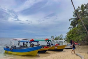 CAHUITA: NATIONAAL PARK SNORKELEN EN WANDELEN *GECERTIFICEERDE LOKALE GIDS*.