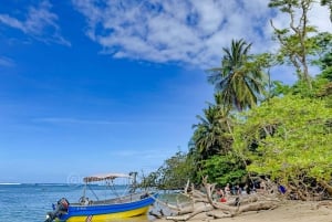 CAHUITA: NATIONAAL PARK SNORKELEN EN WANDELEN *GECERTIFICEERDE LOKALE GIDS*.