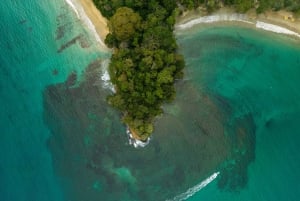 Cahuita Nationalpark og snorkling – privat sightseeingtur
