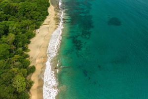 Cahuita Nationalpark og snorkling – privat sightseeingtur