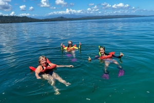 Cahuita Nationalpark og snorkling – privat sightseeingtur