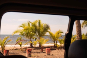 Cahuita Nationalpark og snorkling – privat sightseeingtur