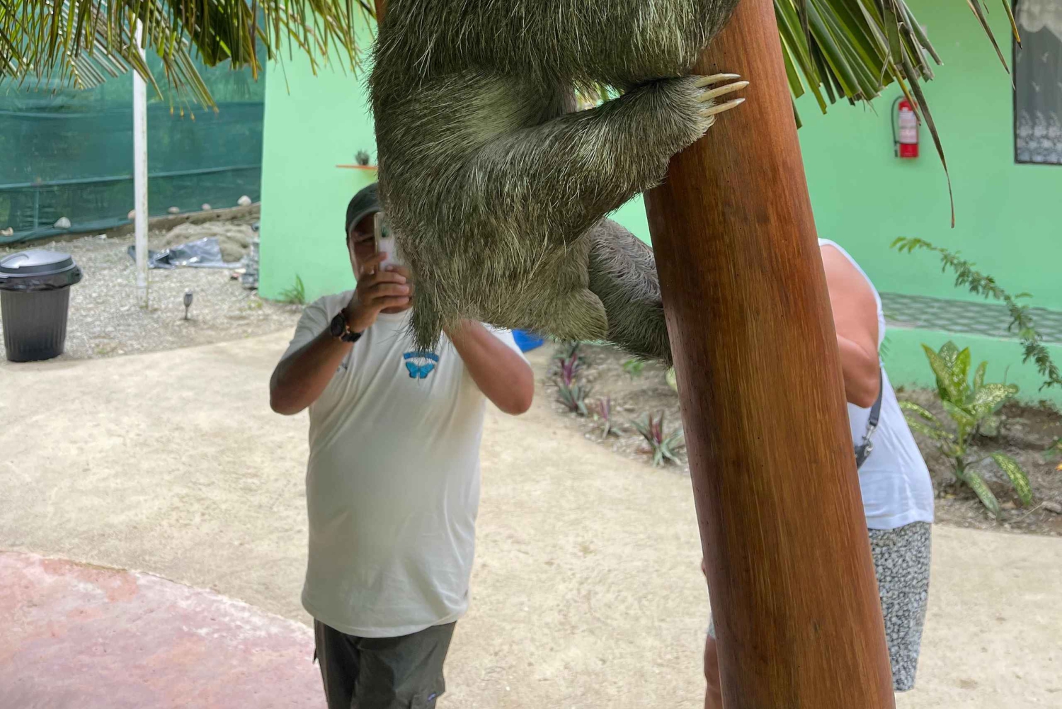 Parc national de Cahuita+Strand et jardin tropical de Maratopia