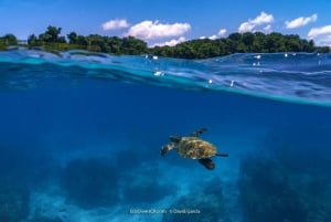 L'île de Caño : Aventure aquatique