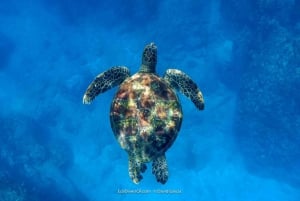 Ilha Caño: Aventura aquática