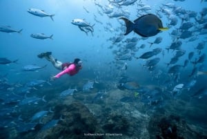 Ilha Caño: Aventura aquática