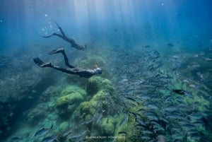 L'île de Caño : Aventure aquatique