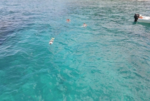 Cañon saaren biologinen suojelualue - snorklaus tai sukellus