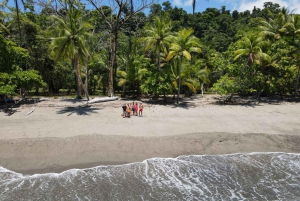 Caño-øens biologiske reservat - snorkling eller dykning