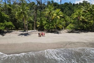 Caño Island Biological Reserve - Snorkling eller dykning