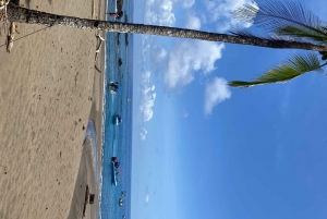 Réserve biologique de l'île de Caño - Plongée en apnée ou en bouteille