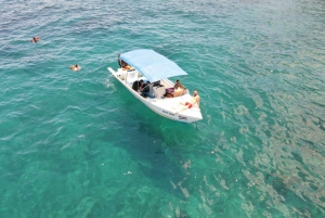 Riserva biologica dell'isola di Caño - Snorkeling o immersioni