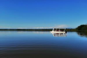 Caño Negro: Upptäcktsfärd i vilda djur