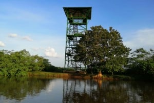 Caño Negro: Upptäcktsfärd i vilda djur