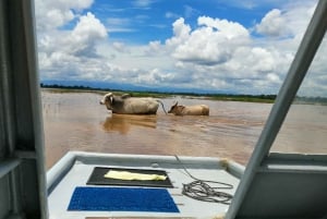 Caño Negro: Upptäcktsfärd i vilda djur