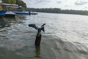 Kanu, Nacht- und Tageswanderung im Tortuguero-Nationalpark