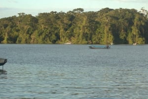 Canoe Tour in the Canals. An Amazing Experience