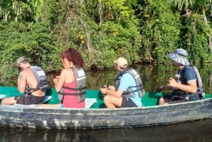 Tortuguero National Park Canoeing Tour