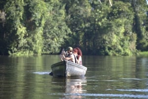 Tortuguero National Park Canoeing Tour