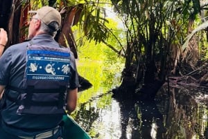 Canoe trip to Tortuguero National Park