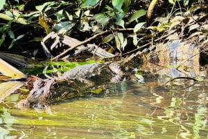 Canoe trip to Tortuguero National Park