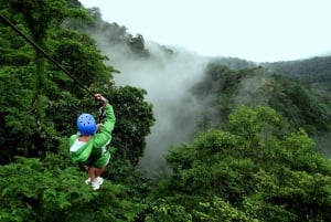 Il baldacchino a Monteverde