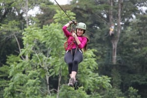 Canopée à Monteverde