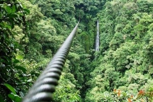 Canopy i Monteverde