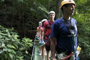 Canopy Zip line & Aerial Tram Tour Jacó
