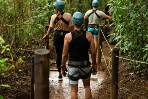 Canopy Zip line & Aerial Tram Tour Jacó