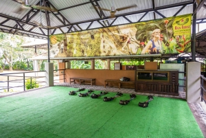 Canopy Zip line & Aerial Tram Tour Jacó