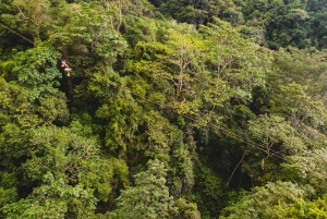 Canopy Zip line & Aerial Tram Tour Jacó